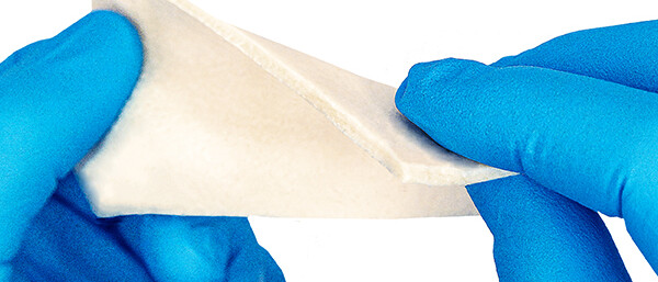 AlloMendUT_edit_square_72dpi