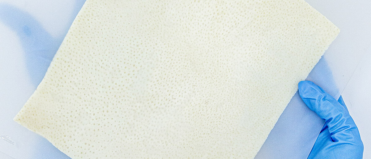 allomen-xl-web-uai-1200x514